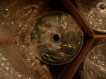 IMGP1195.JPG