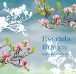 estradabranca.jpg